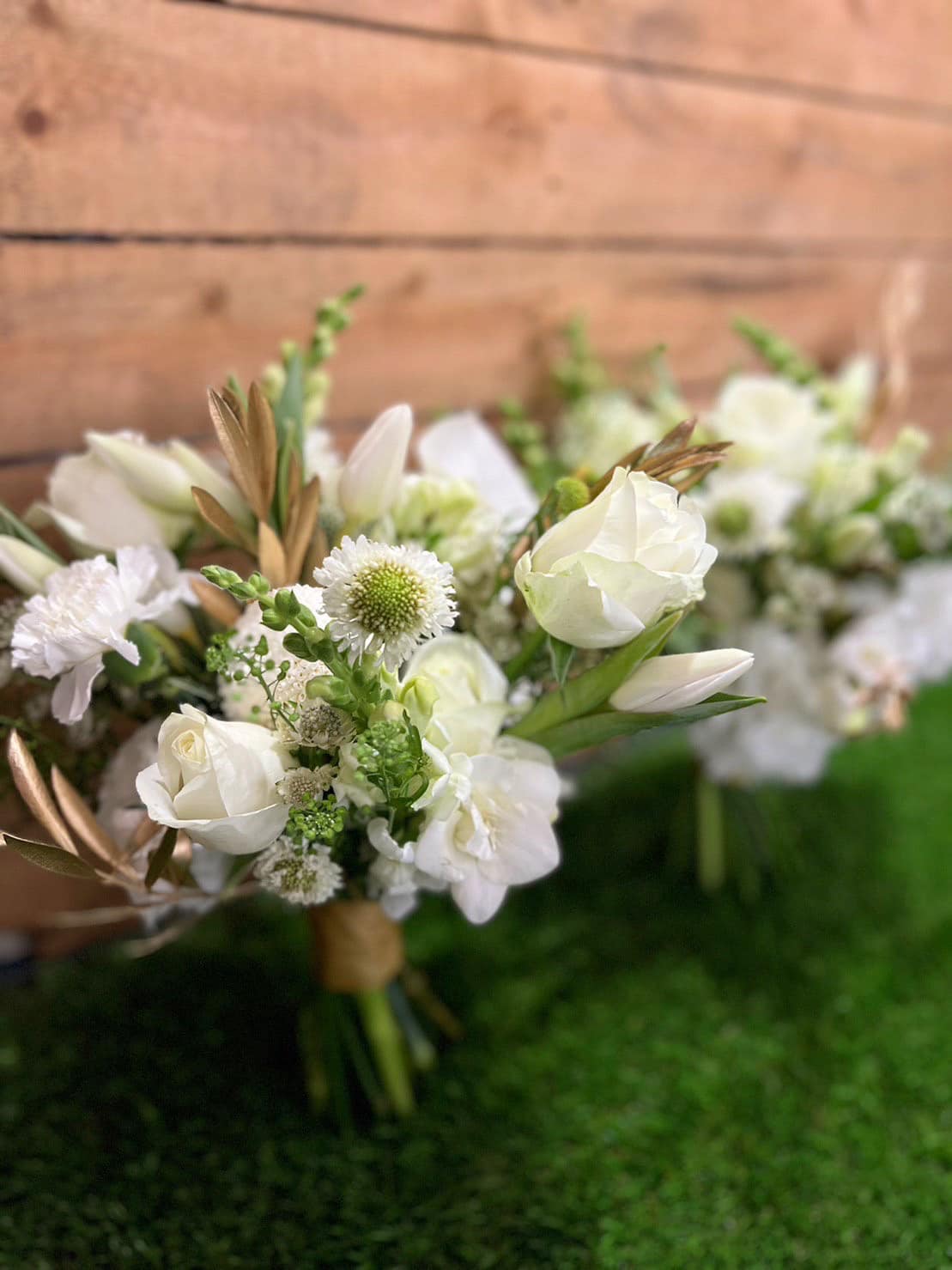 美式風格 - RISO RISO