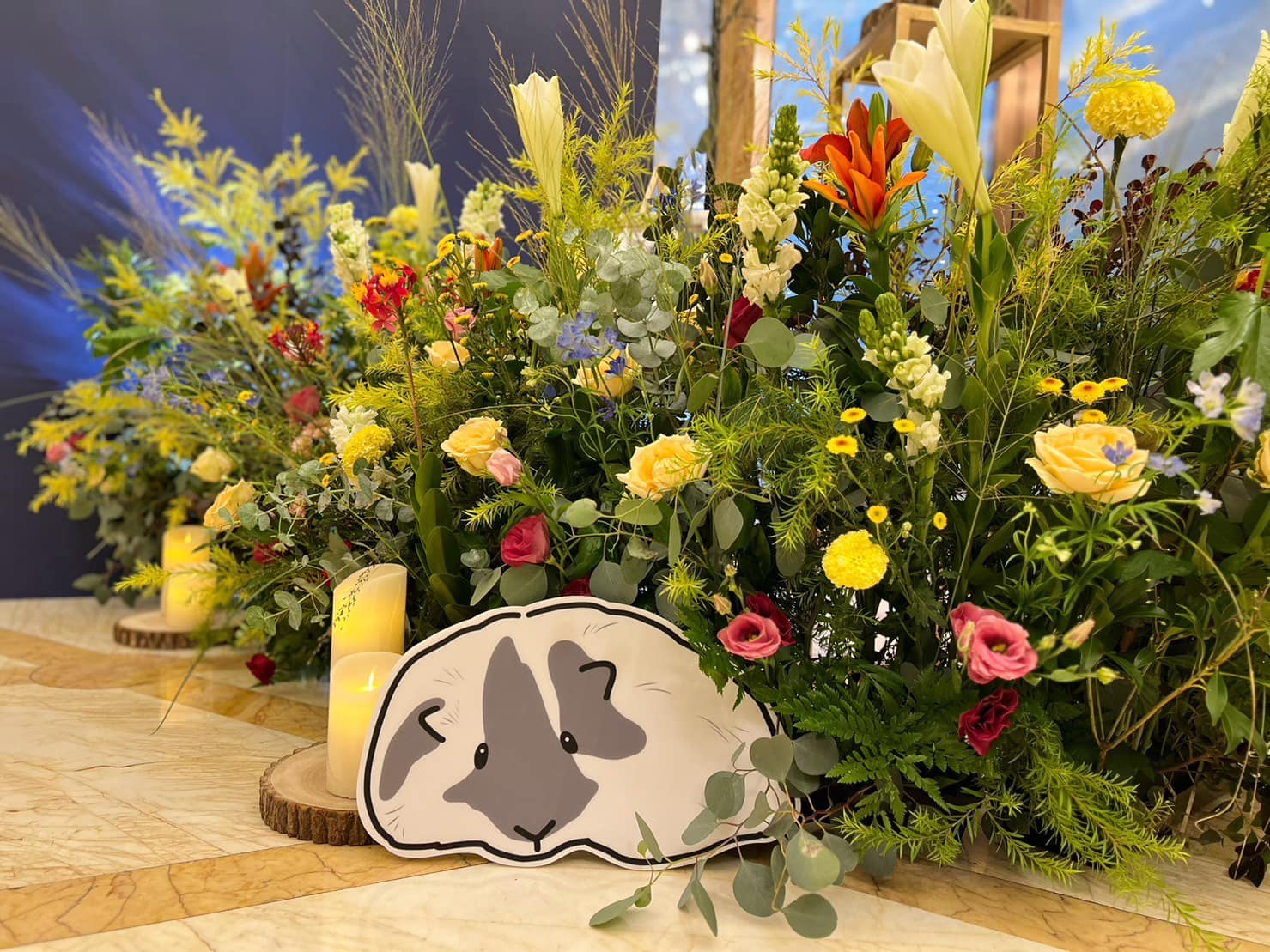 對比色花園 - 林皇宮