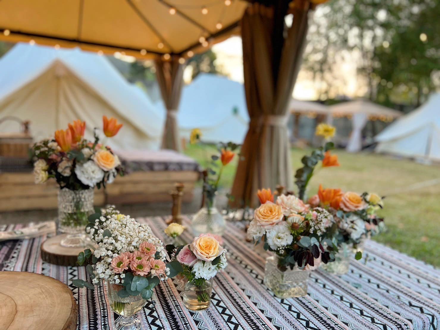 波希米亞風 - 泊樂熊村