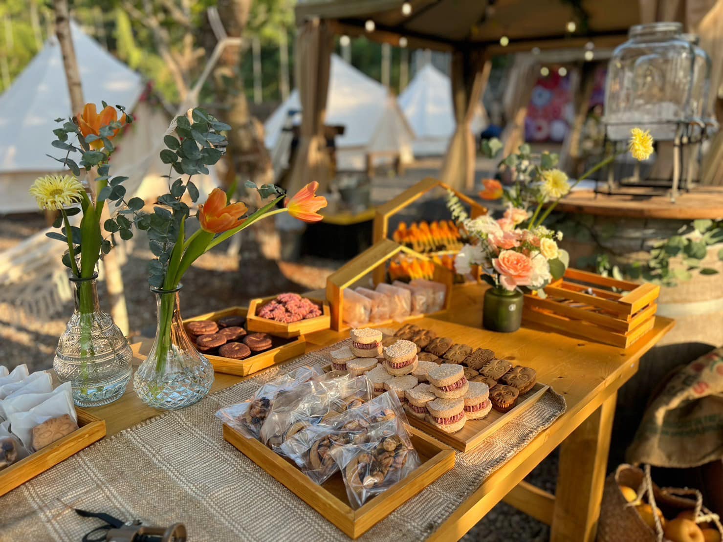 波希米亞風 - 泊樂熊村