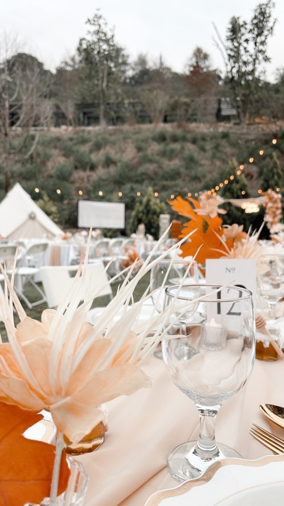 大地色系風 - 泊樂熊村