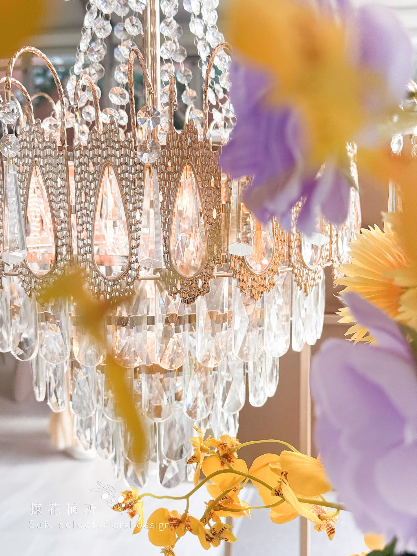 美式多層次 - 雲林新尚豪