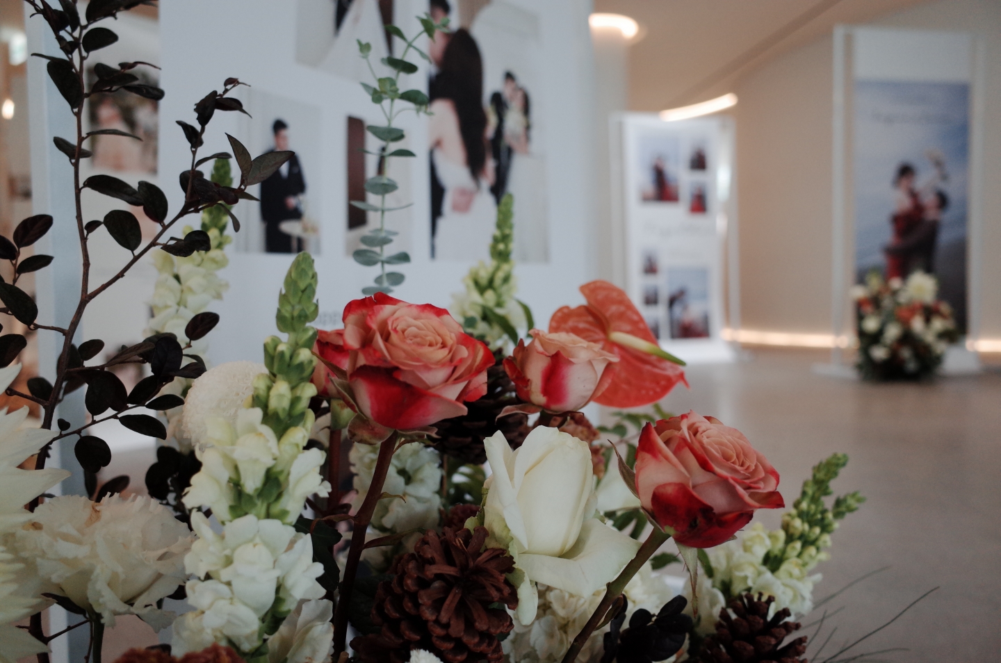 卡布奇諾花園 - 圓觀