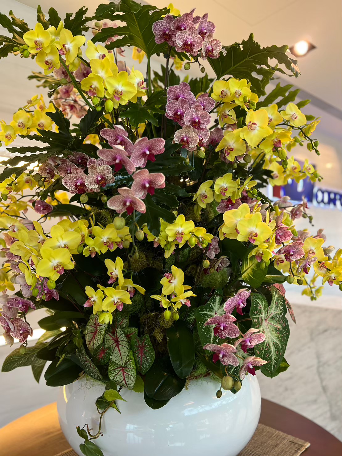 SDI 順德工業【大廳花藝】