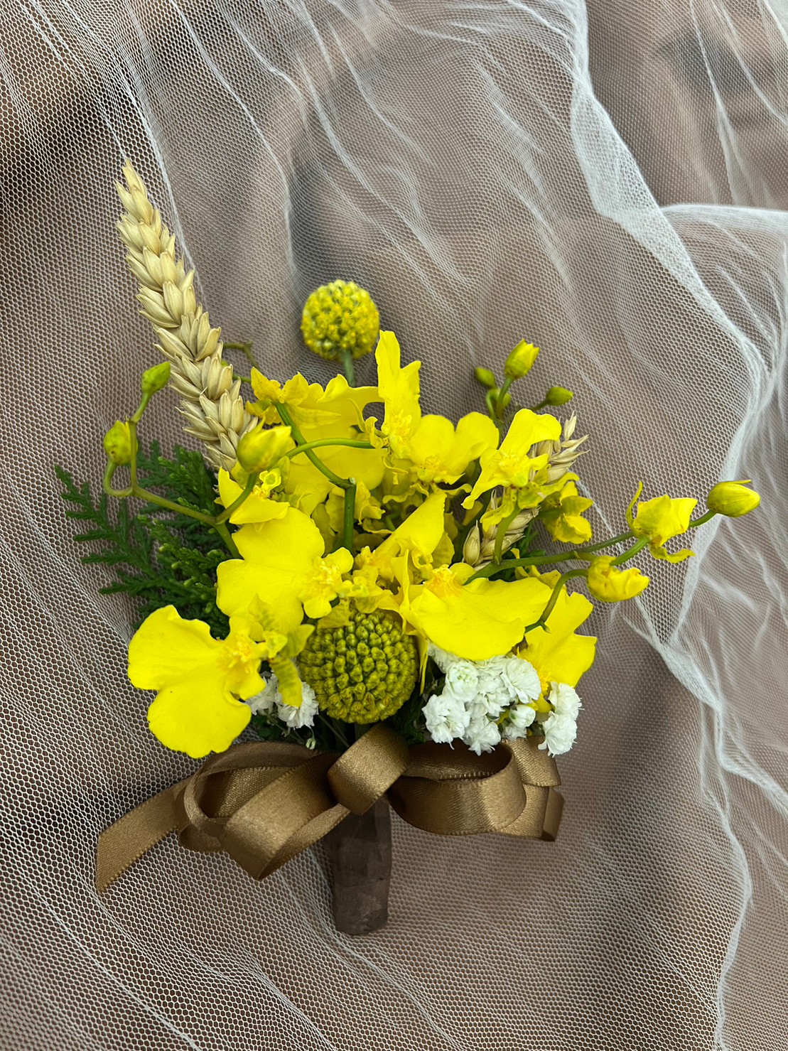 台中市大雅區【第四屆里長就職典禮】