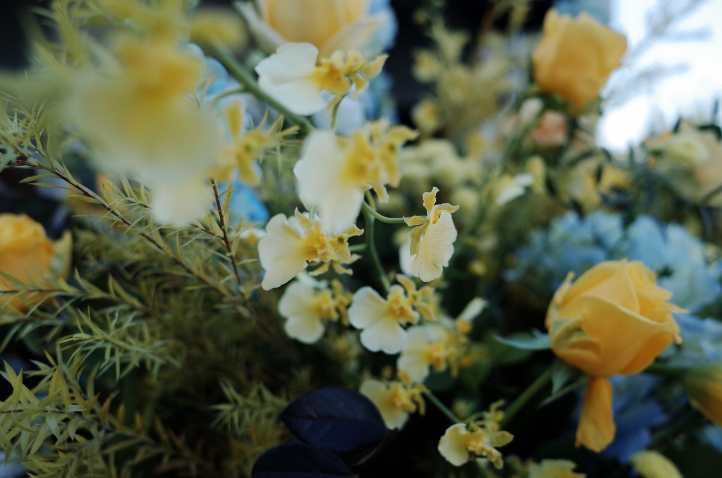 曾記自動化控制【20週年廠慶暨新廠開幕】